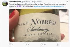 Pasaje Nobrega Chardonnay de las cenizas 2020 - comprar online