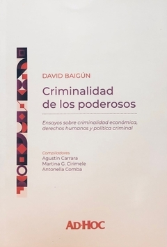 BAIGÚN - DELITOS DE LOS PODEROSOS
