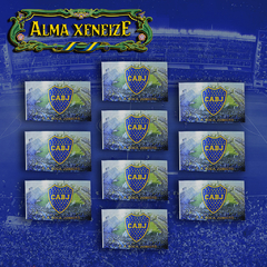 Pack de 10 Banderas "Estadio Boca Juniors"
