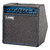 Laney Richter RB2 - Combo 30 watts en internet