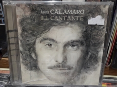 Andrés Calamaro - El cantante