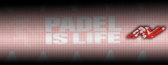 Banner de la categoría Protector paleta
