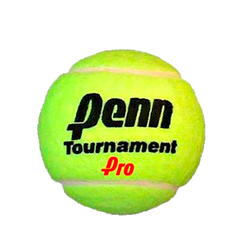 Granel penn tournament Pro x 30 - comprar online