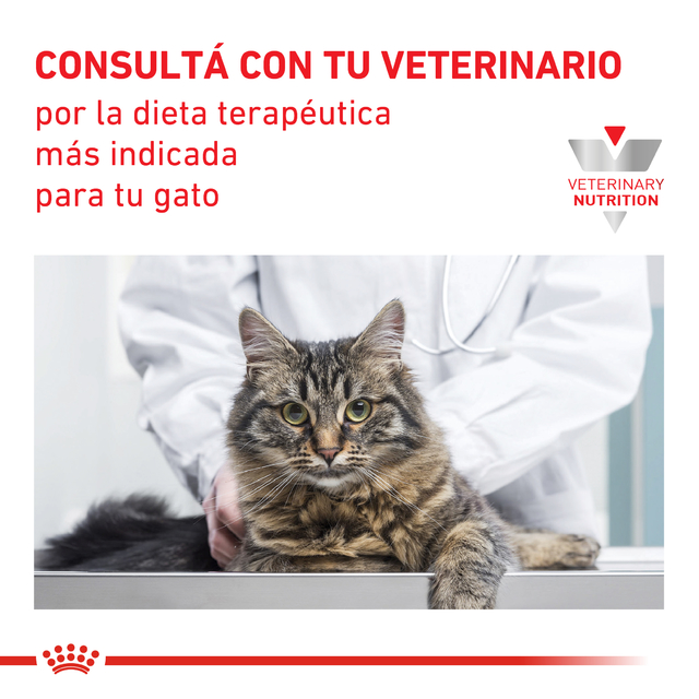 Alimento húmedo para gato Senior Consult Stage 2 Royal Canin