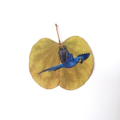 arara-azul | moldura 18x18cm branca