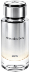 Mercedes Benz Silver - Mercedes Benz