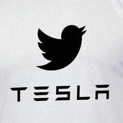 Camiseta Twitter e Tesla