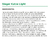 Sieger Katze Gatos Light - comprar online
