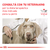 Royal Canin Vd Dog Diabetic 10 Kg - tienda online