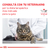 Royal Canin Vd Satiety Cat 1,5 kg - tienda online