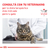 Imagen de Royal Canin Vd Cat Gastrointestinal 2 kg