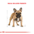 Royal Canin Bulldog Frances Adulto 3 kg - Multipet