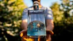 Gin Telúrico London Dry 750ml - comprar online