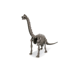 Kit de Escavação de Dinossauro - Braquiossauro na internet