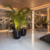 VITE PORCELANATO GRANZA IVORY OUT NAT 120X1201A - comprar online