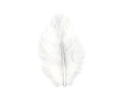 Plumas Marabu Granel x 50 unidades