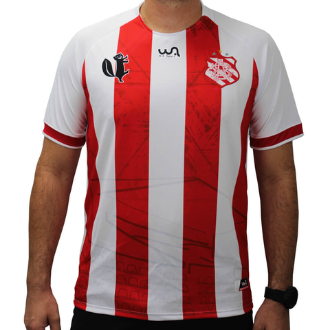 big and tall nike shorts