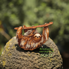 Broche Perezoso de tres dedos (Bradypus variegatus)