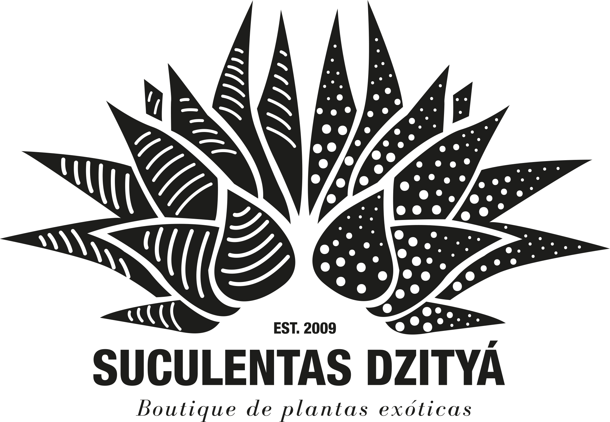 Maceta pintada a mano 16 cm Suculentas Dzityá Maceta pintada a mano 16 cm Suculentas Dzityá