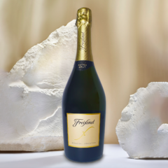 Freixenet X Estuche X2 Champagne Extra Brut 750ml + 2 Copas - tienda online
