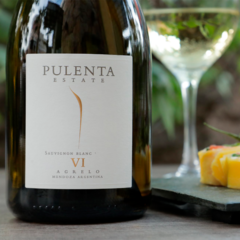 Pulenta Estate Vino Sauvignon Blanc Caja X6u 750ml Mendoza en internet