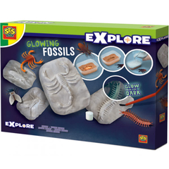 Fósiles brillantes