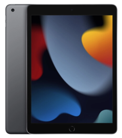 Apple 10.2" iPad (9th Gen, 256GB, Wi-Fi Only) - MonacoMac