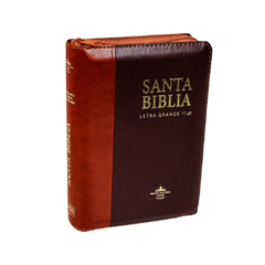 BIBLIA MARRÓN COMPACTA LETRA GRANDE CIERRE ÍNDICE (11 PUNTOS) RVR 1960