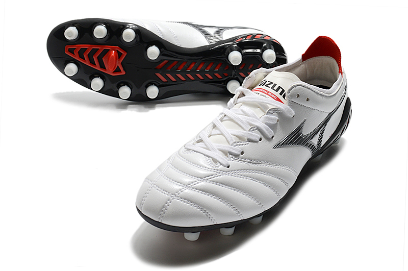 morelia neo tf