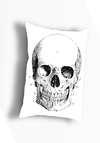 Almohadoncito Anatomía 1