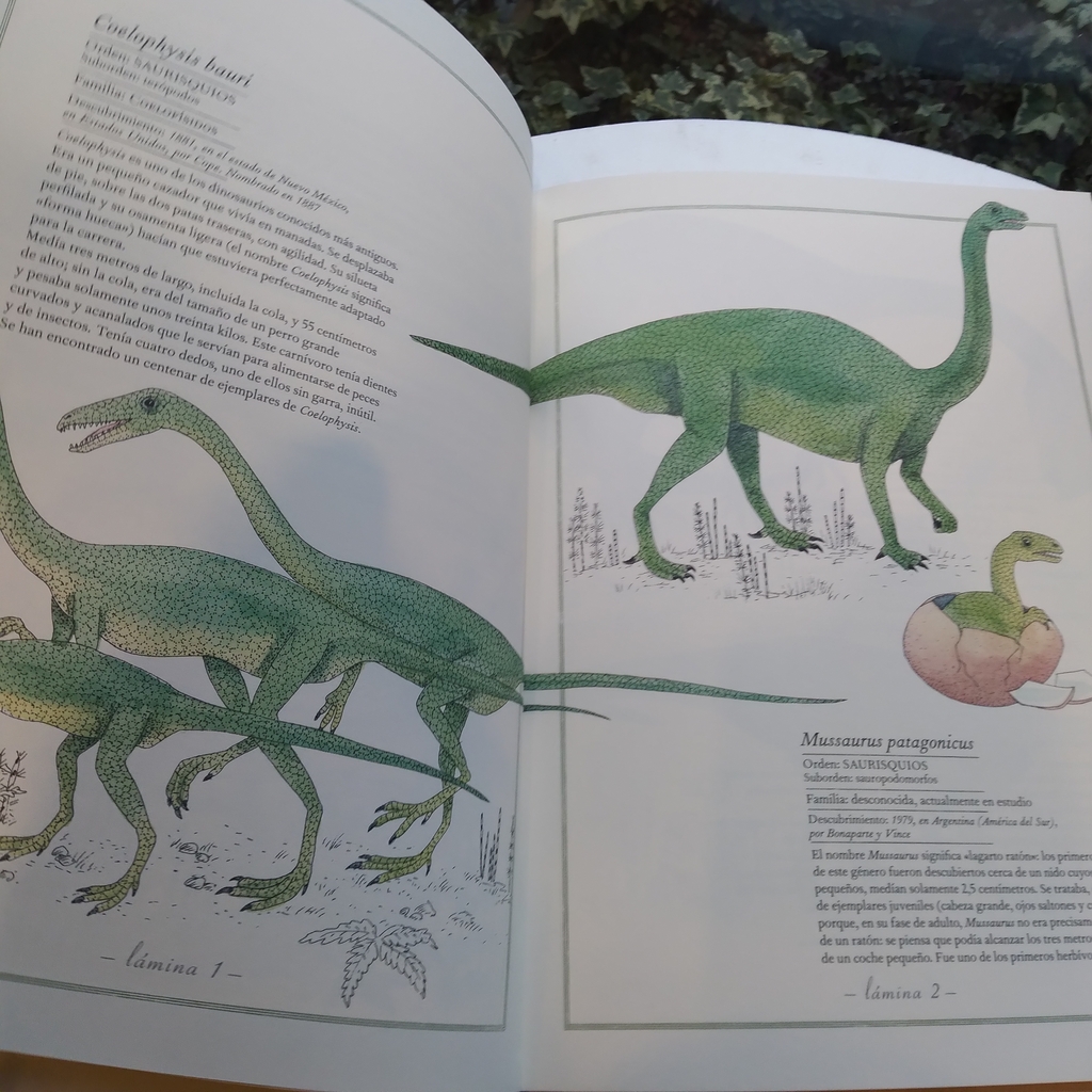 Inventario de dinosaurios - Comprar en Pequena Crianza Inventario de dinosaurios - Comprar en Pequena Crianza