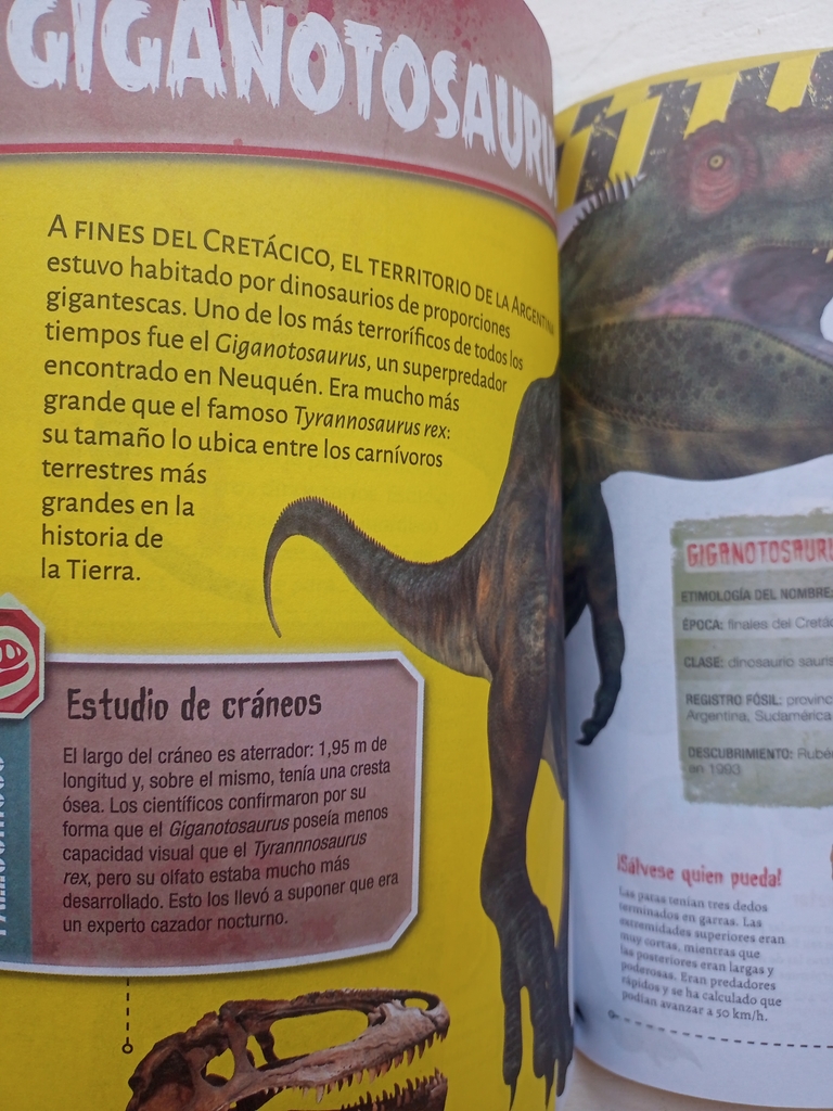 DINOSAURIOS CARNIVOROS - LEER, APRENDER, JUGAR Y COLOREAR DINOSAURIOS CARNIVOROS - LEER, APRENDER, JUGAR Y COLOREAR