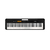 Teclado Casio CTS100 61 Teclas + Fuente