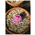 SUBSTRATO PREMIUM 4 LITROS AKADAMA + POMES - Bonsai Oriental