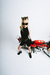 CATSUIT FERREYRA - comprar online