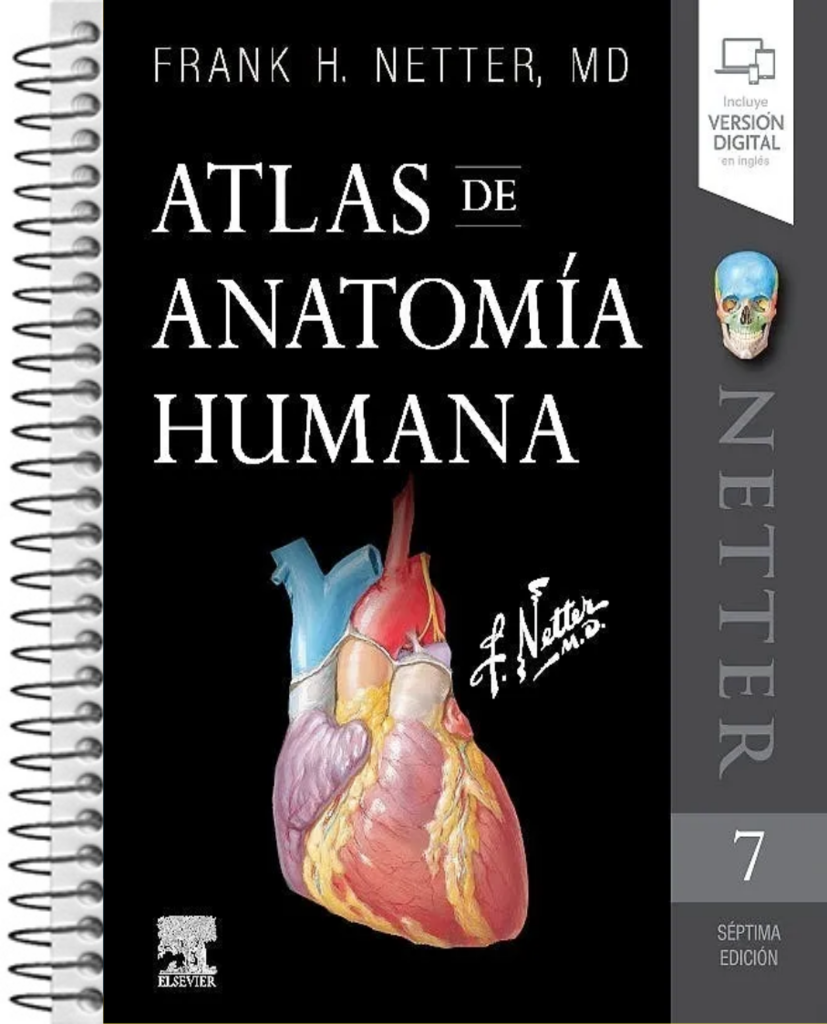 Netter 7ma edición- Atlas de Anatomía Humana - EPUB