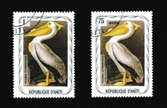 República do Haiti, Pelicano Branco