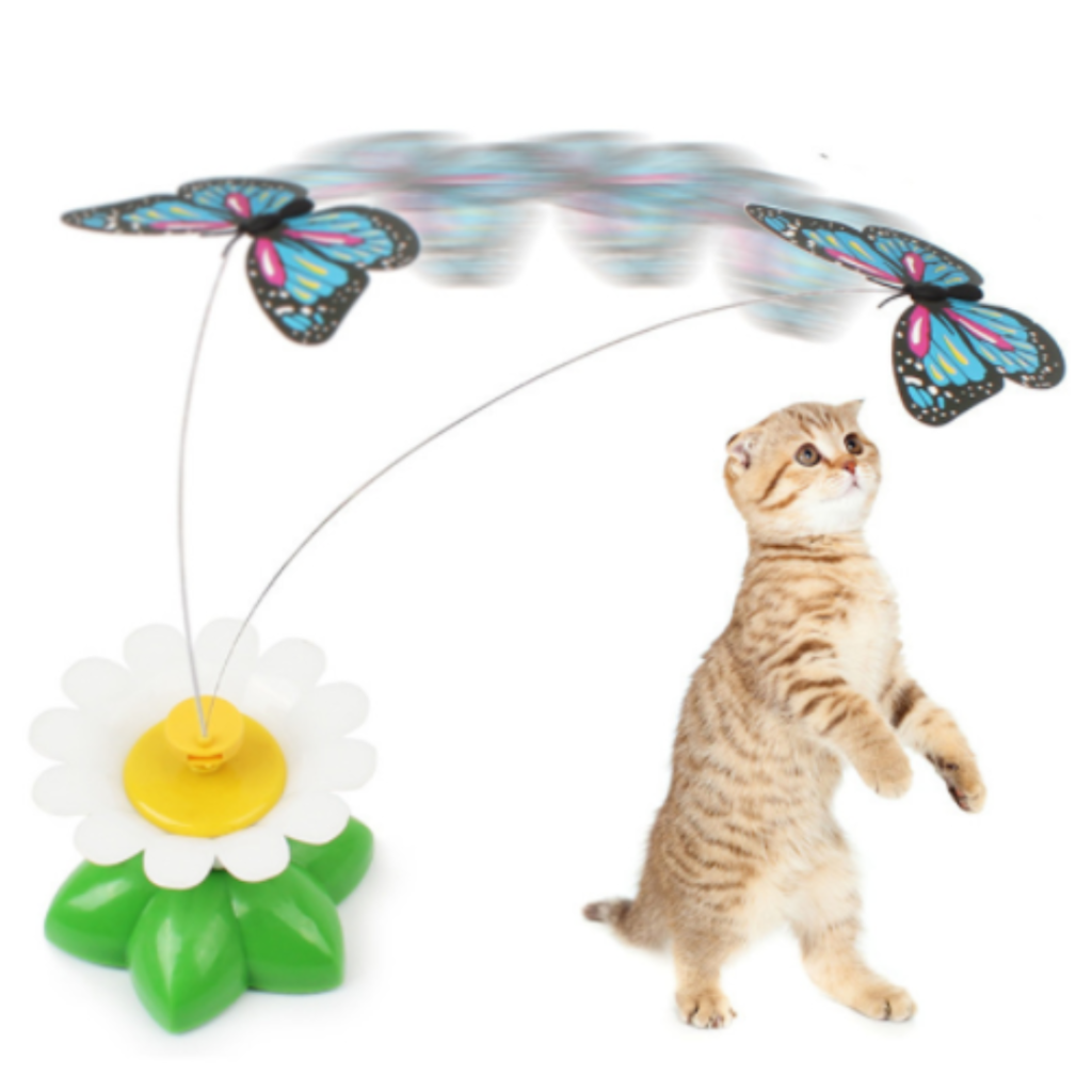 Brinquedo para gatos borboleta mágica