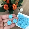 Mini Florzinha Prensada Azul Neon - 25 unidades