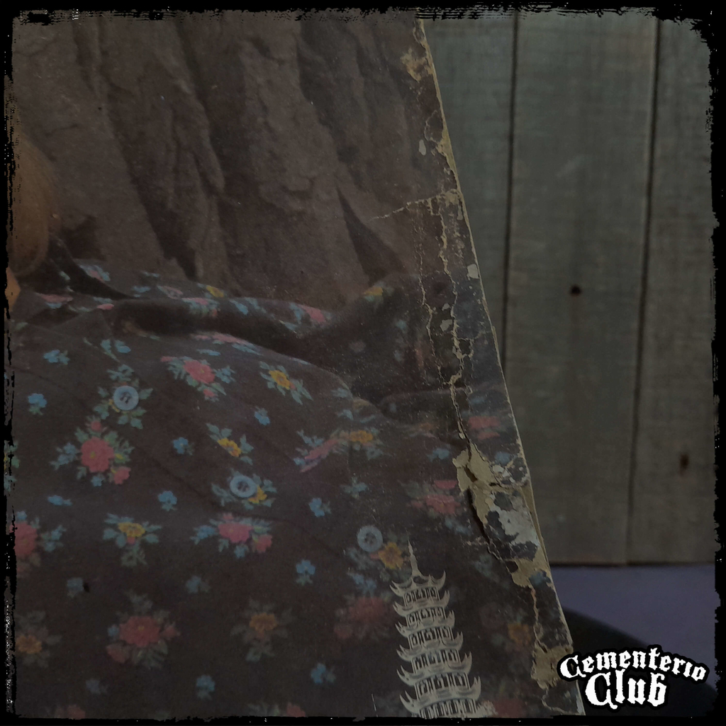 TEEGARDEN & VAN WINKLE Teegarden & Van Winkle Ed ARG Vinilo / LP