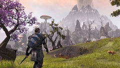 The Elder Scrolls Online Xbox One Seminovo - comprar online