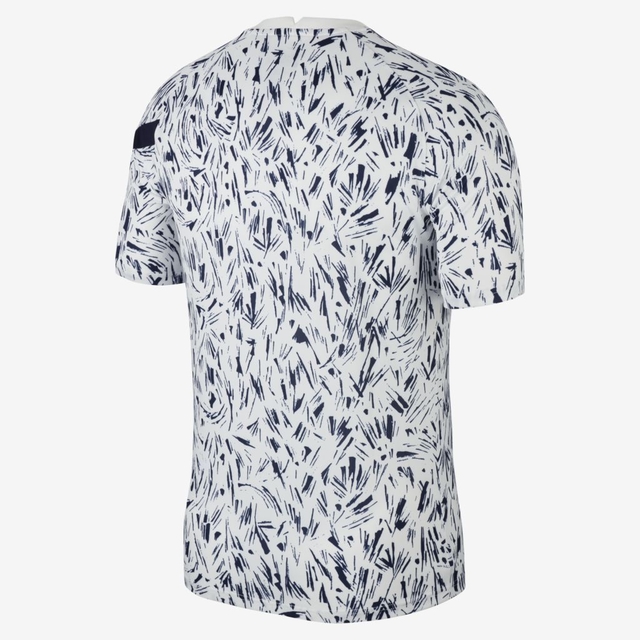 Camisa Selecao Franca Pre Jogo 20 21 Torcedor Nike Masculina