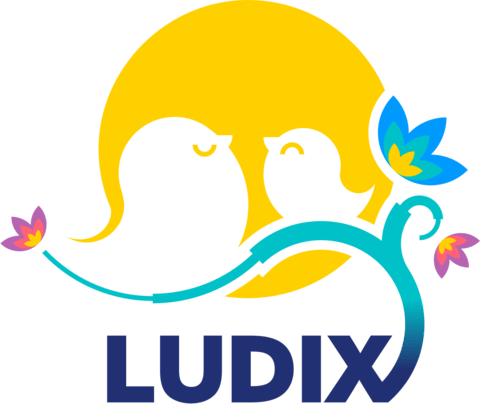 Ludix Brechó Infantil