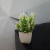 Pack x8 Mini plantas Plantitas artificiales de plástico para interiores en internet