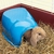Casa refugio para roedores conejo / cobayo Cocoon Savic - comprar online
