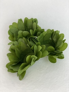 MARGARIDA verde pistache - 50 unidades - forminhas em papel - comprar online