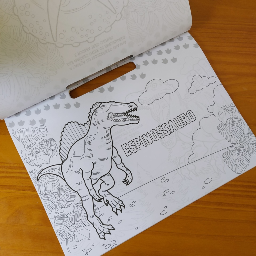 Livro Infantil 101 Primeiros Desenhos Para Colorir Dinossauros Ciranda  Cultural - Papelaria Criativa