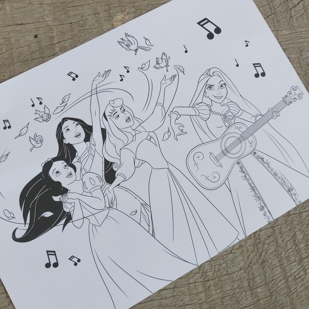 60 Folhas Desenho Pra Colorir Pintar Princesas Disney Frozen