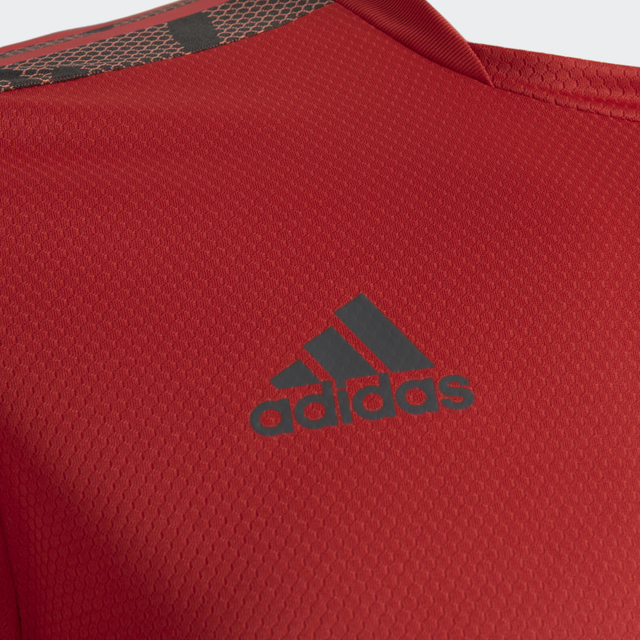 camisa flamengo treino vermelha adidas 2021