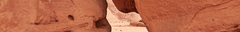 Banner de la categoría NEW IN!